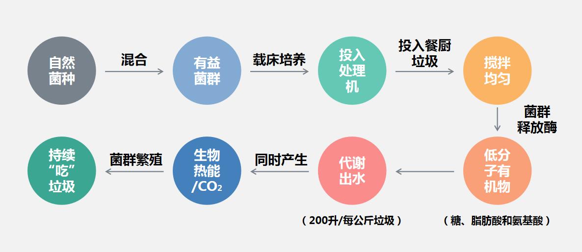 餐廚垃圾生物處理技術(shù)